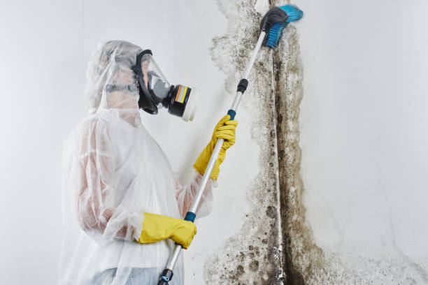 Best Crawl Space Mold Removal  in Sacred Heart University, CT