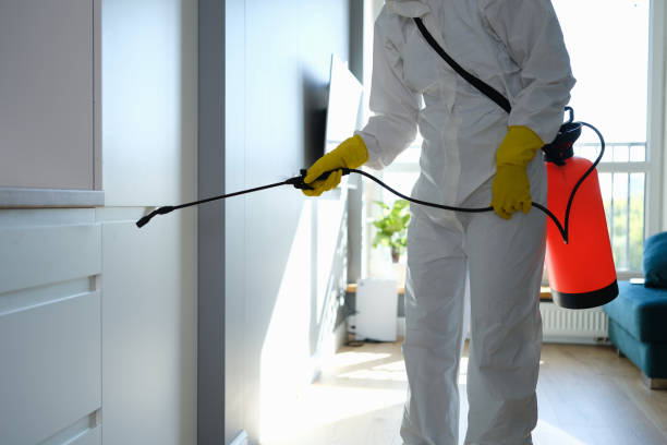 Best Attic Mold Removal  in Sacred Heart University, CT