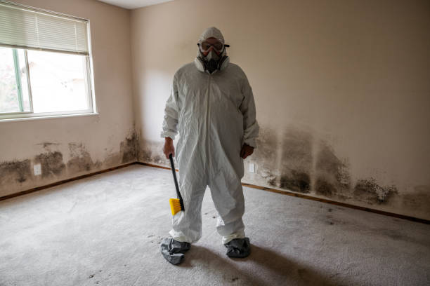 Best Home Mold Removal  in Sacred Heart University, CT