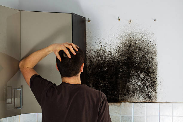 Mold Removal and Inspection in Sacred Heart University, CT